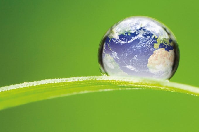 Globe on green leaf CSR