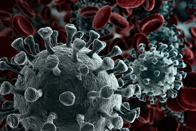 Røde og grå covid-19 virus. Foto
