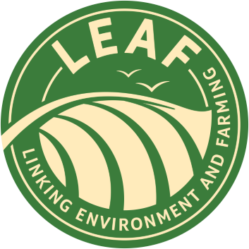 leaf logo2.png