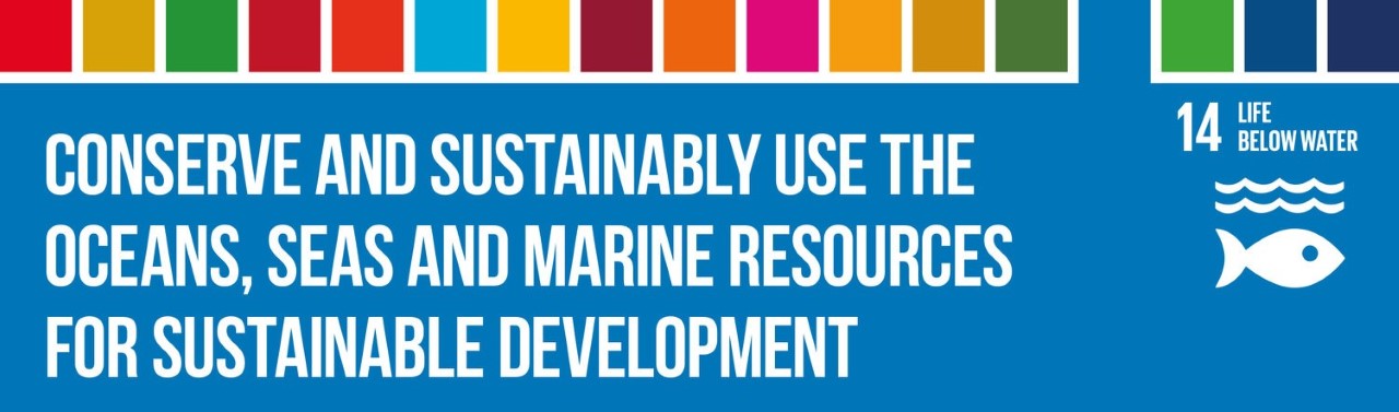"La Certificazione MSC - Marine Stewardship Council   "