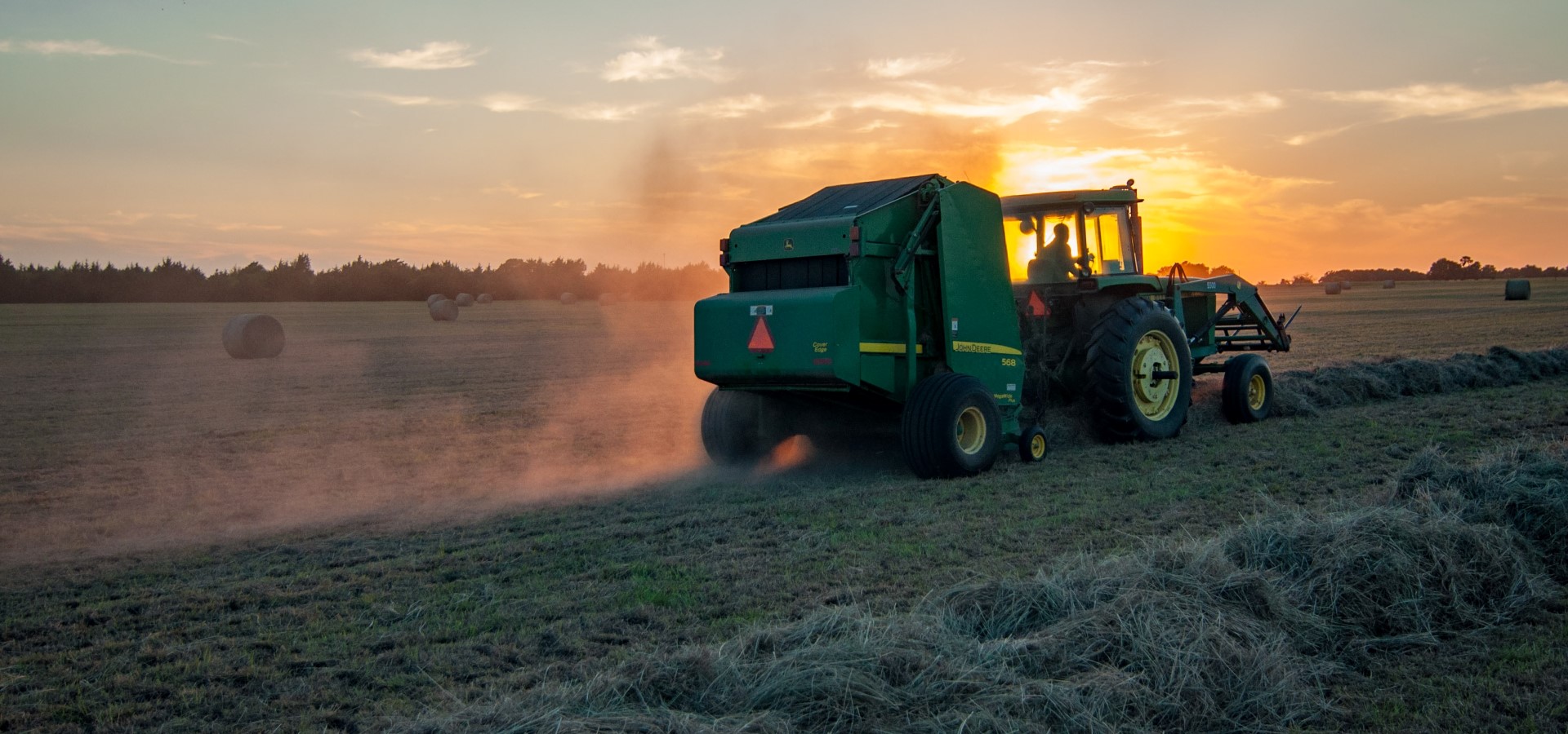 Dati ISMEA: Il settore agroalimentare in crescita nel primo trimestre del 2019