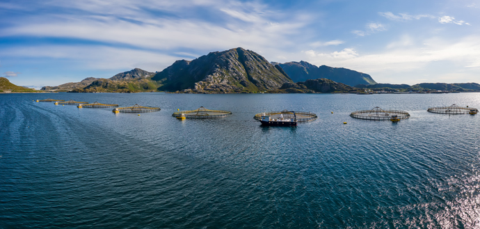 Fiskeoppdrettsanlegg-i-Norge.jpg