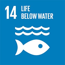 14° Obiettivo di Sviluppo Sostenibile dell’ONU - Life Below Water