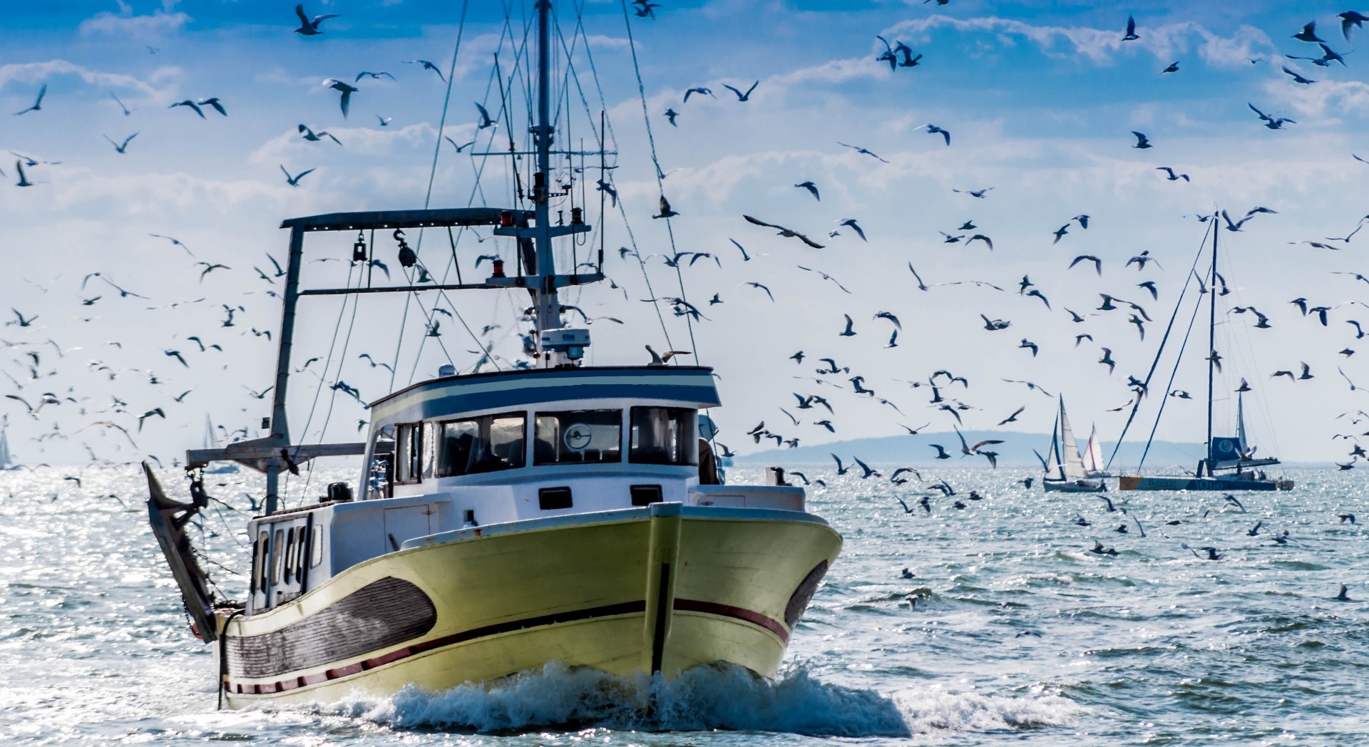 Certificazione MSC e pesca sostenibile