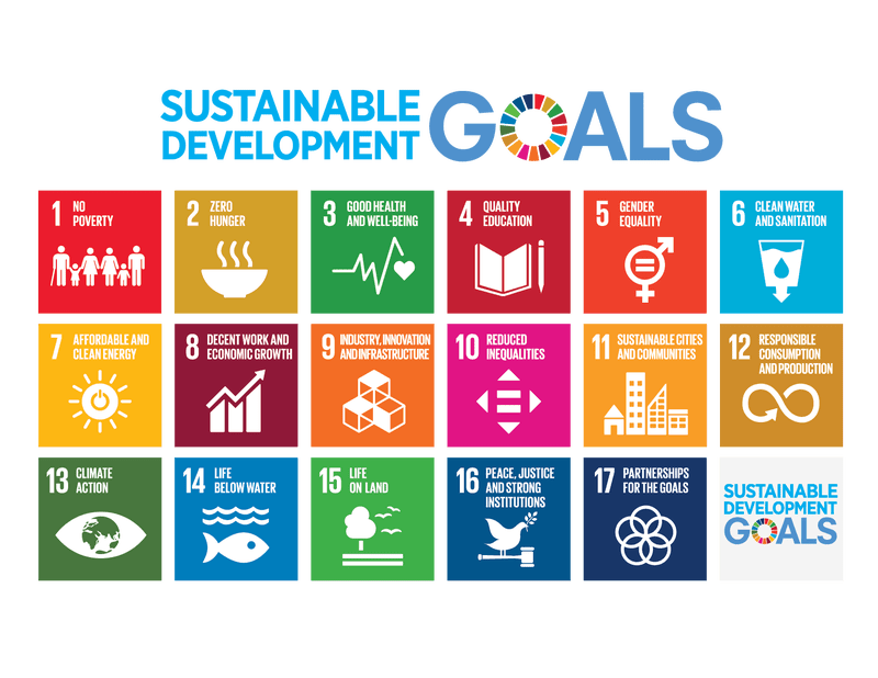 Obiettivi di Sviluppo Sostenibile della comunità internazionale
