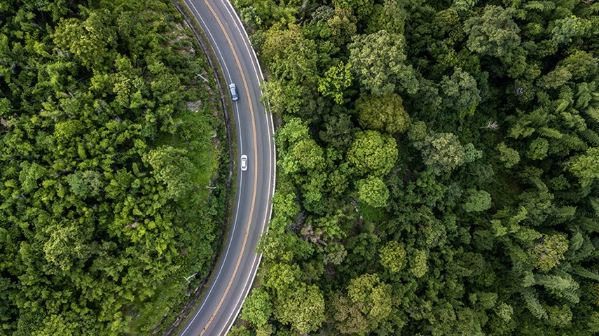 Een lange autoweg tussen de bossen