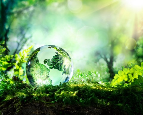 Globe in green landscape