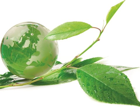 Green globe CSR