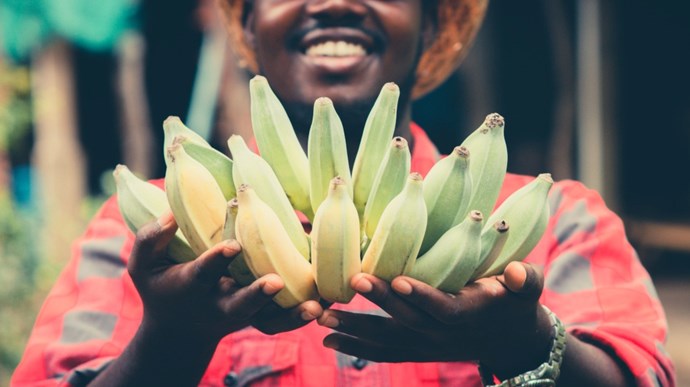 african-farmer-bananas.jpg