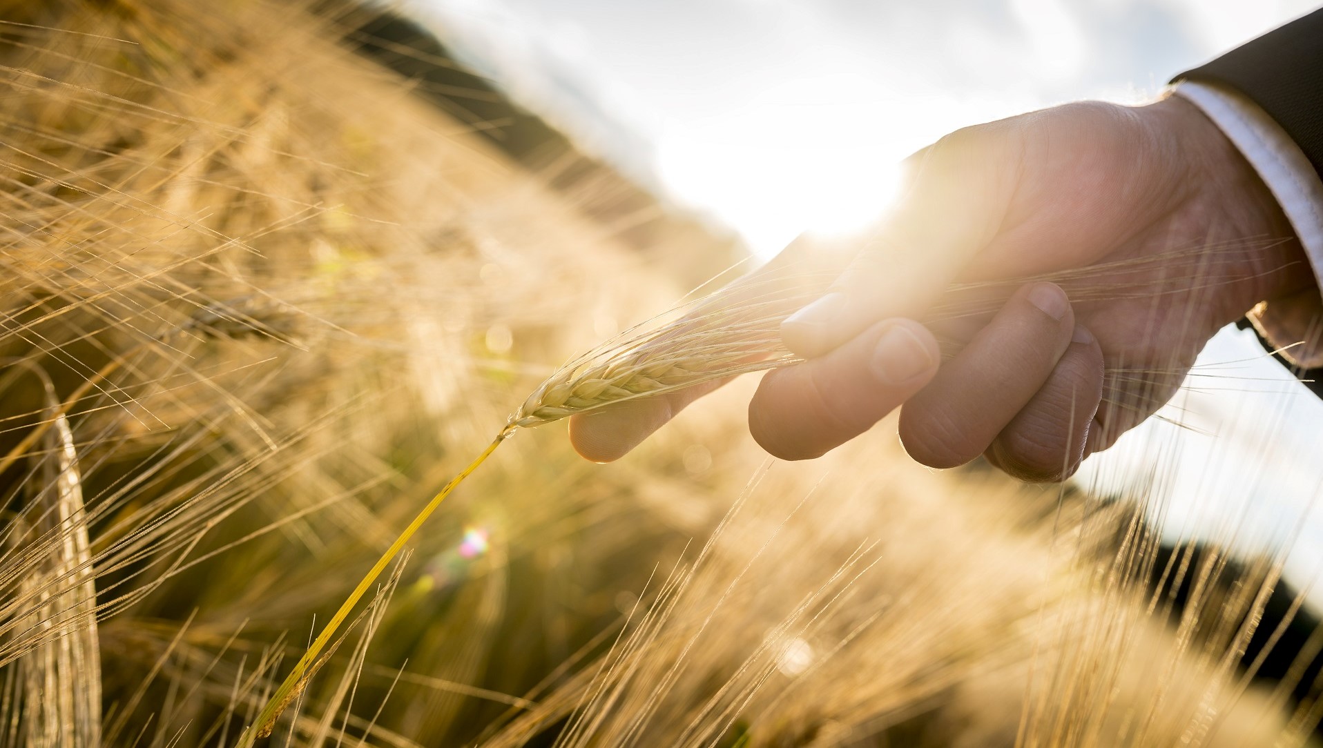 Webinar 'Come diventare Auditor IFS?'