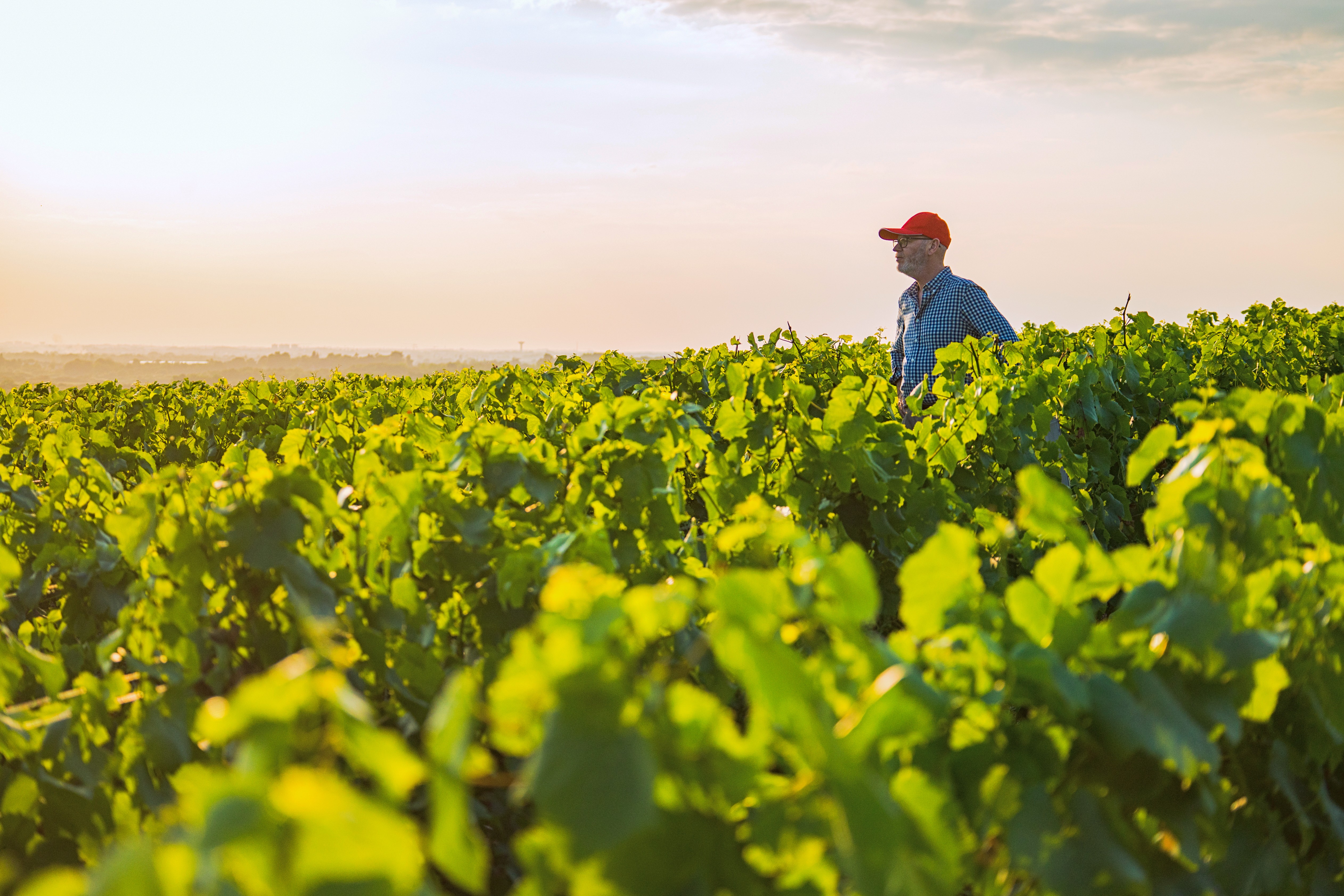 Farmer standing in his green field