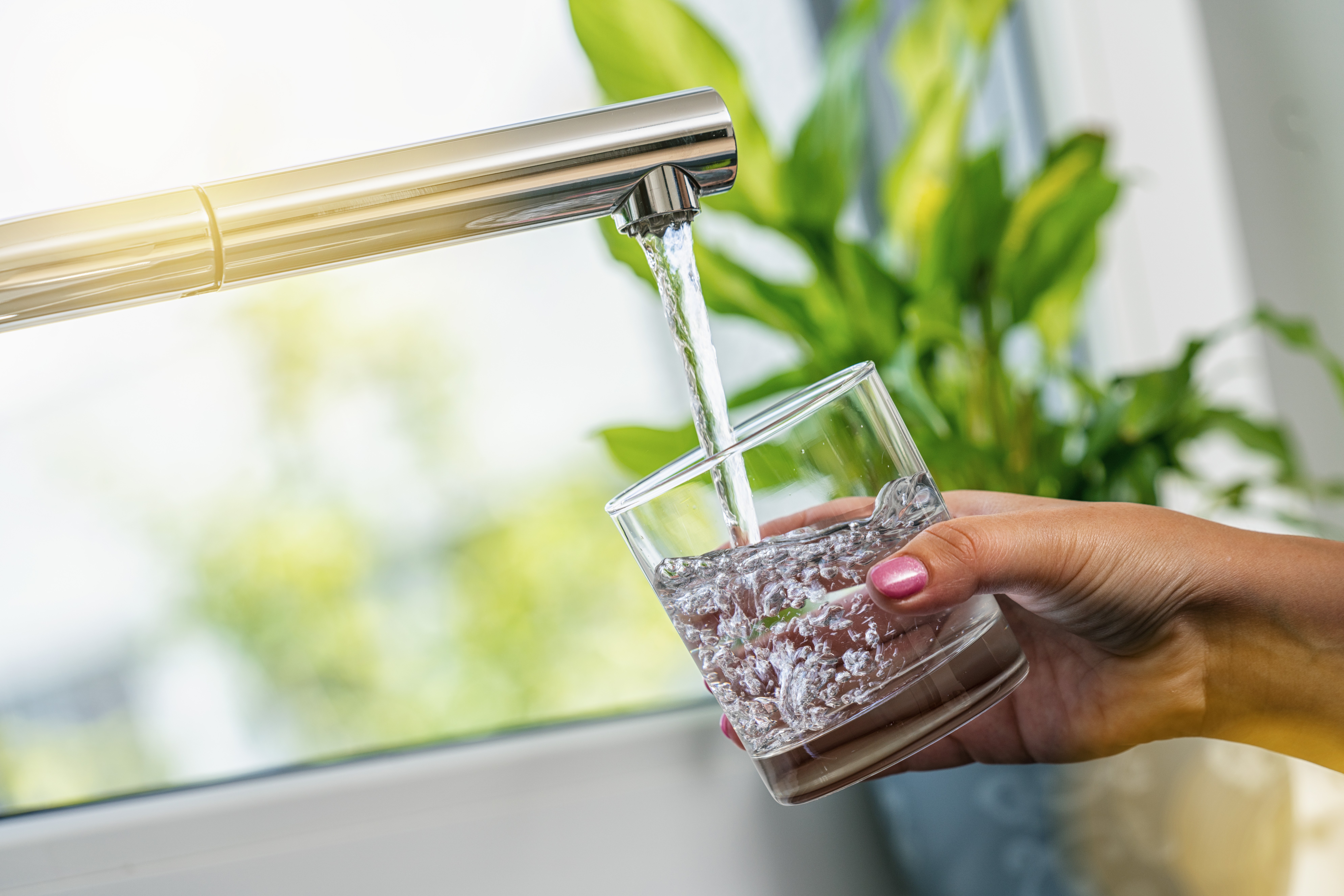 acqua dal rubinetto