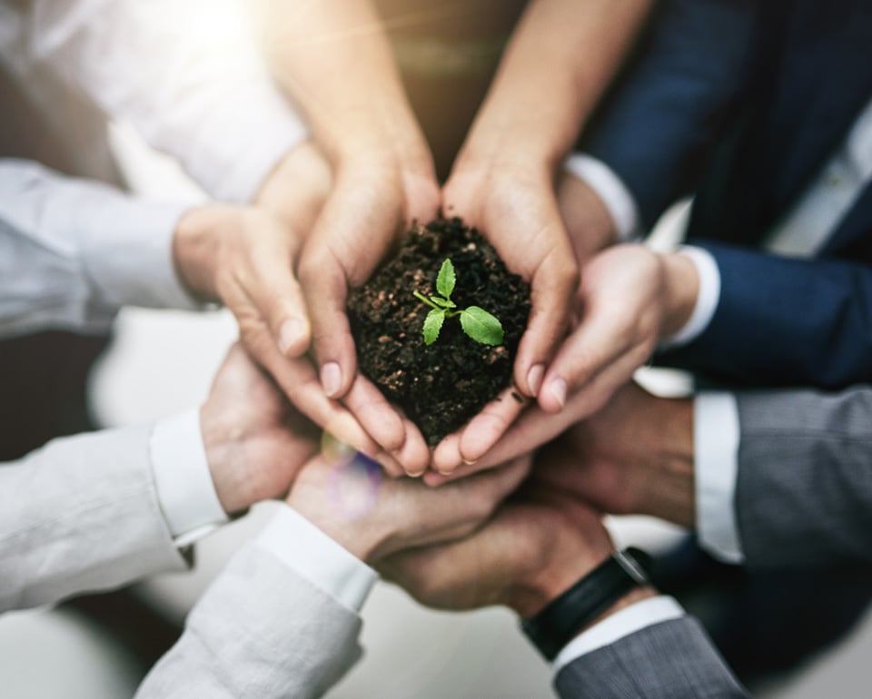 sostenibilità impatto