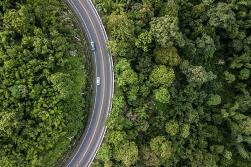 A road in a green forest