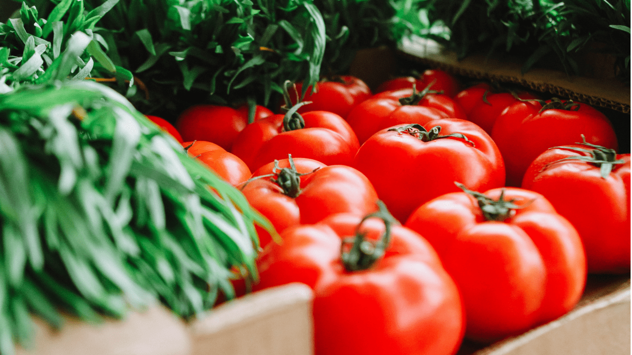 Pubblicata la nuova versione della norma FSSC 22000 V.5