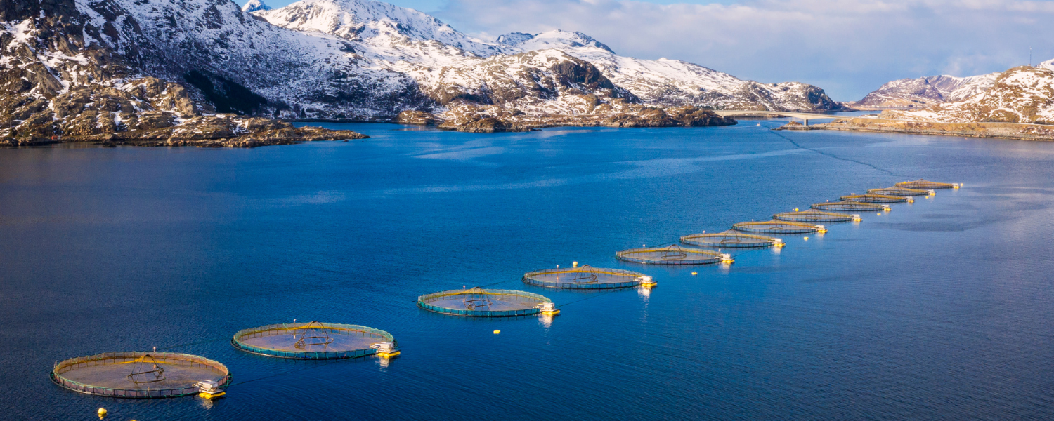 open water fisheries sertified through GLOBALG.A.P.