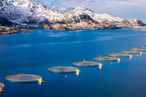 open water fisheries sertified through GLOBALG.A.P.