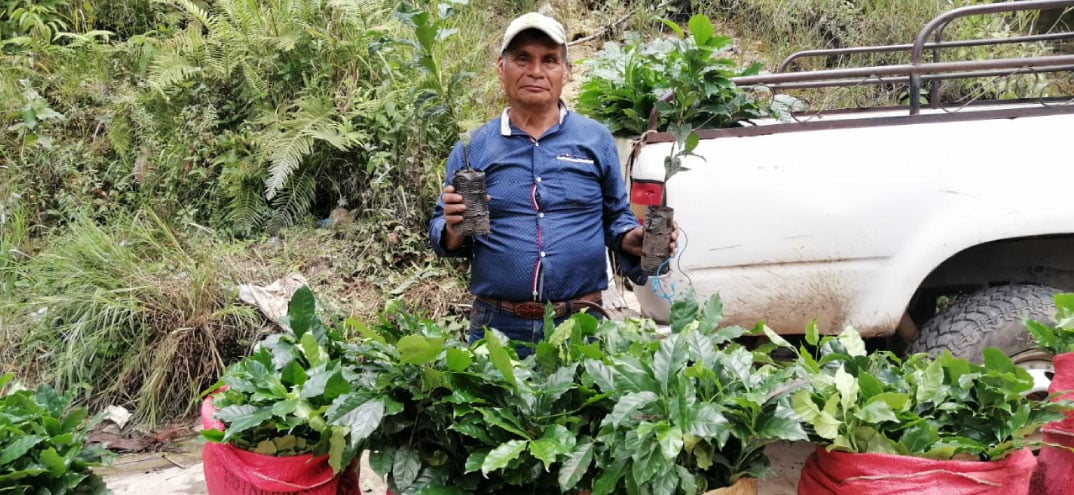 Hombre de pie sosteniendo dos plantas en bolsas de vivero, con varias plantas verdes en primer plano y una camioneta blanca al fondo.