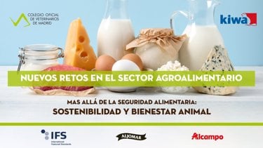 Imagen Proyector.jpg