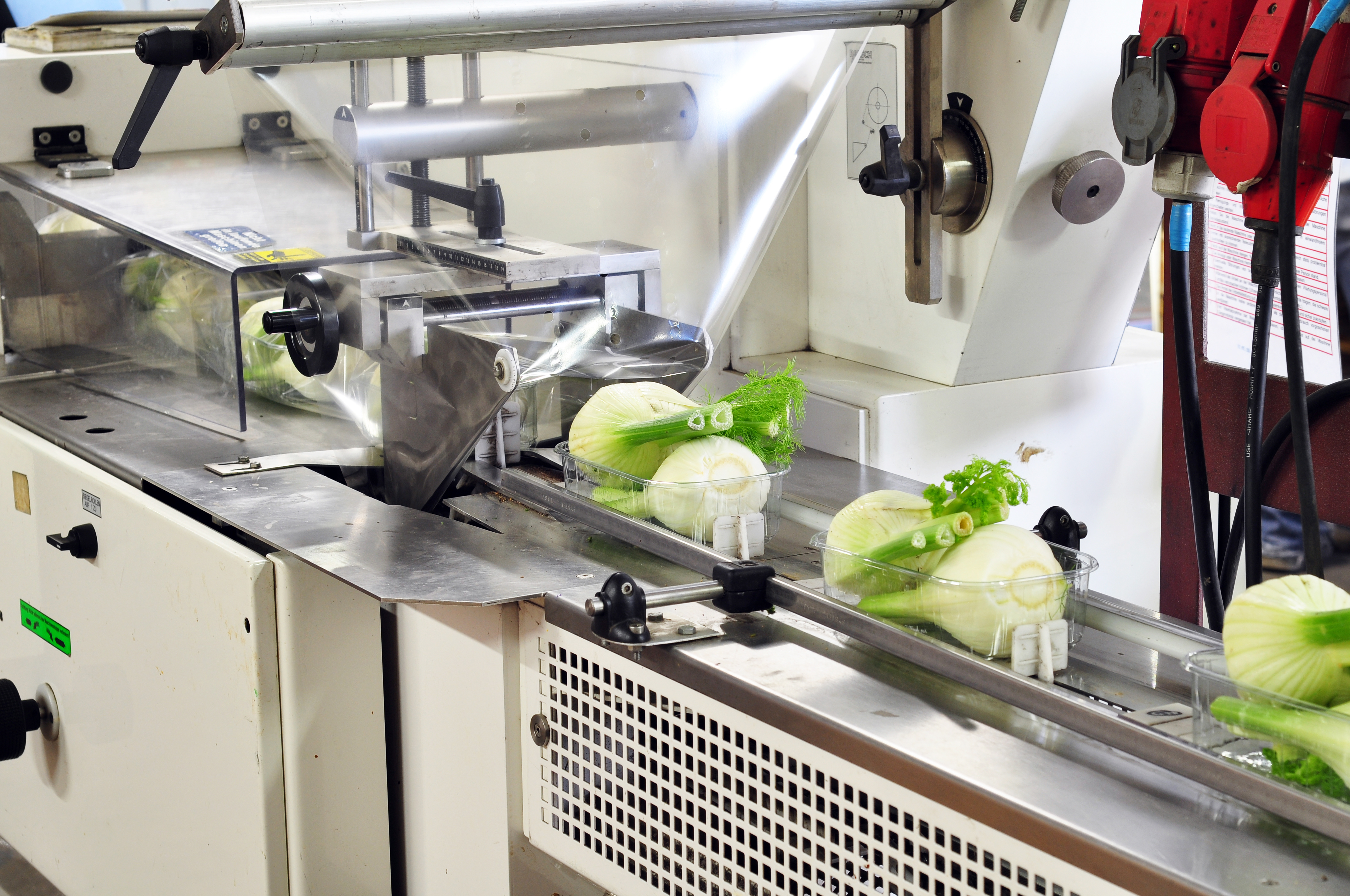 macchine per packaging alimenti.jpg