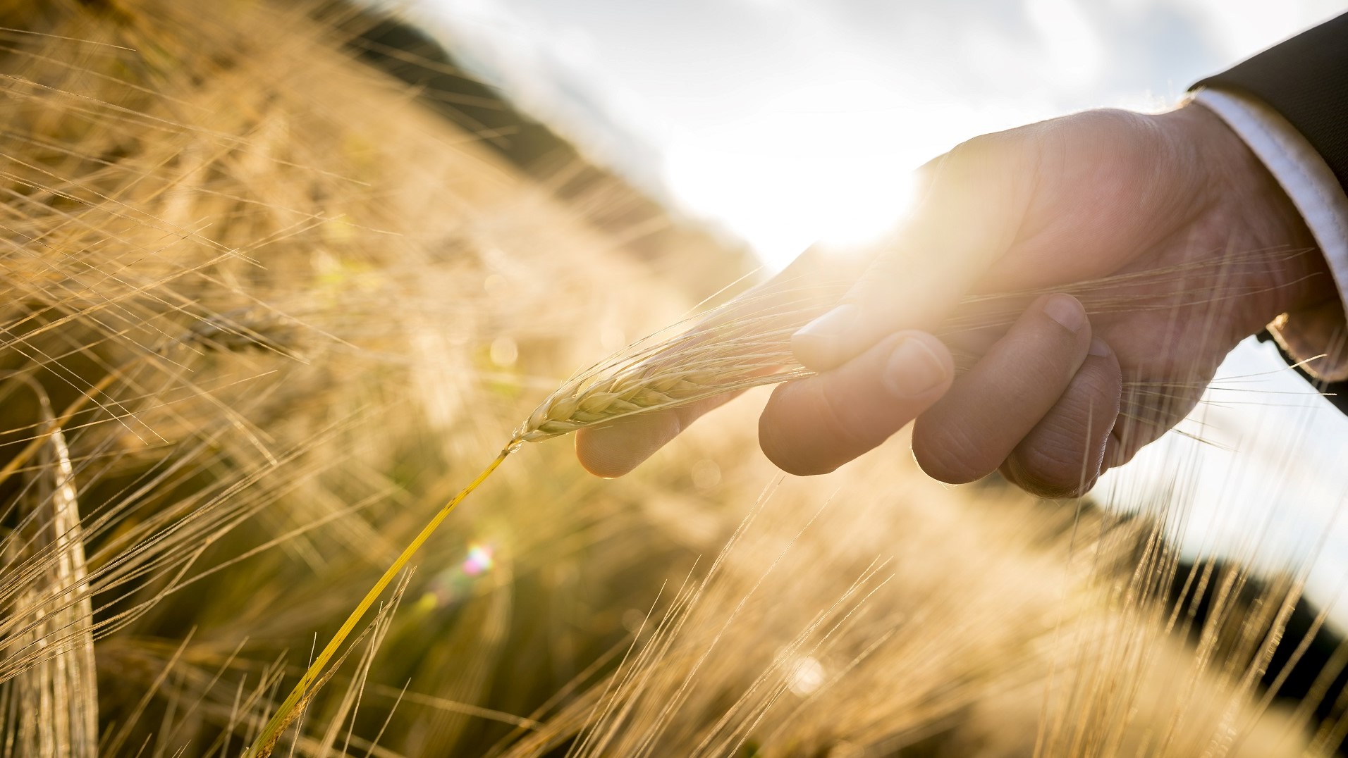 La versione 3 dello Standard IFS Broker