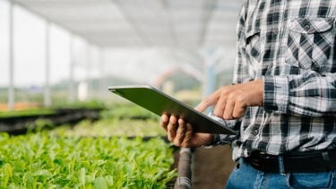 Man holding Ipad on farm.jpg