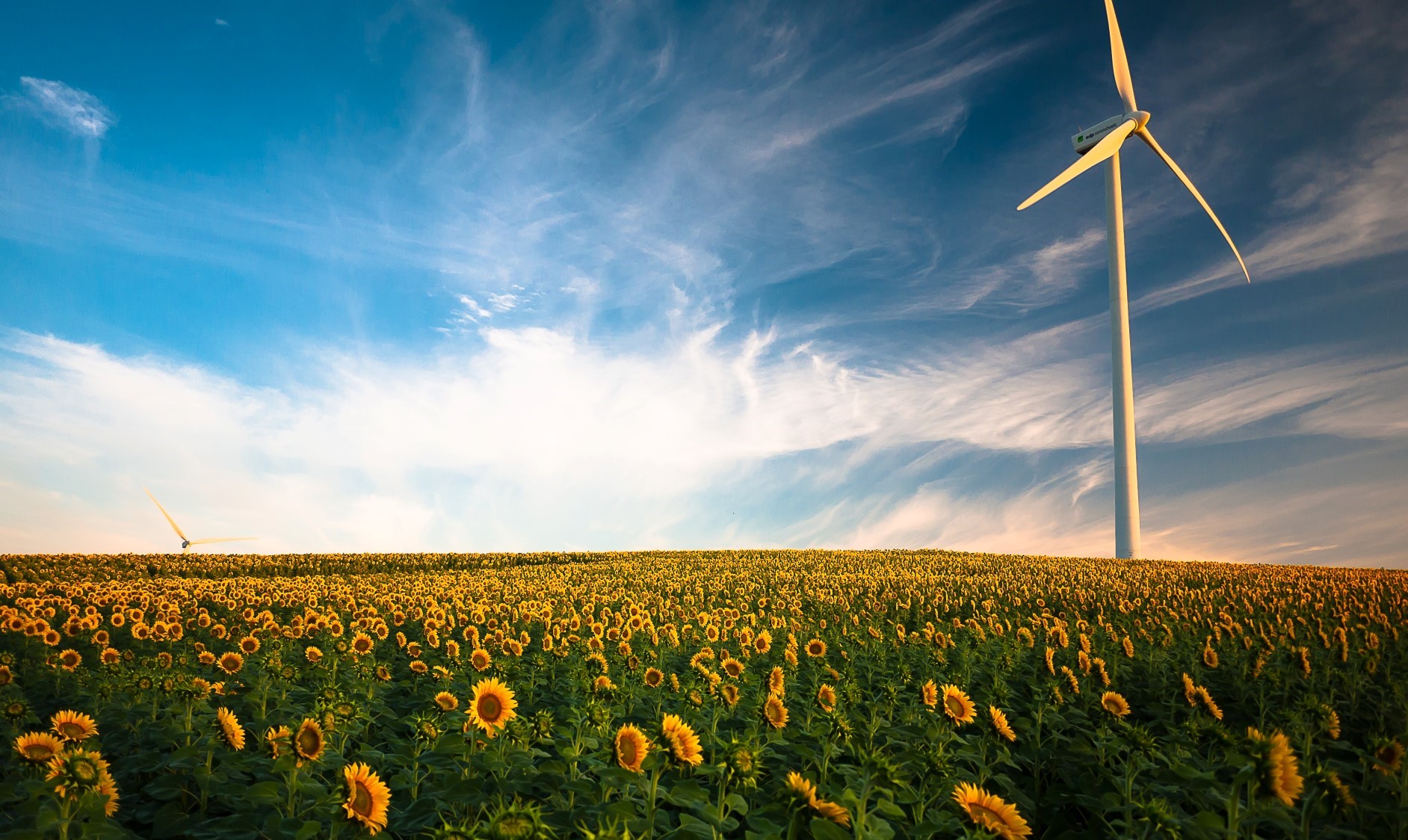 Cresce la quota delle energie rinnovabili in Europa e si riducono le emissioni di CO2