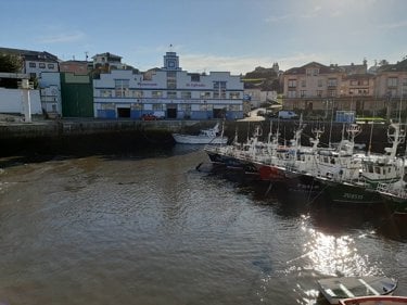 Cofradia 2.jpg