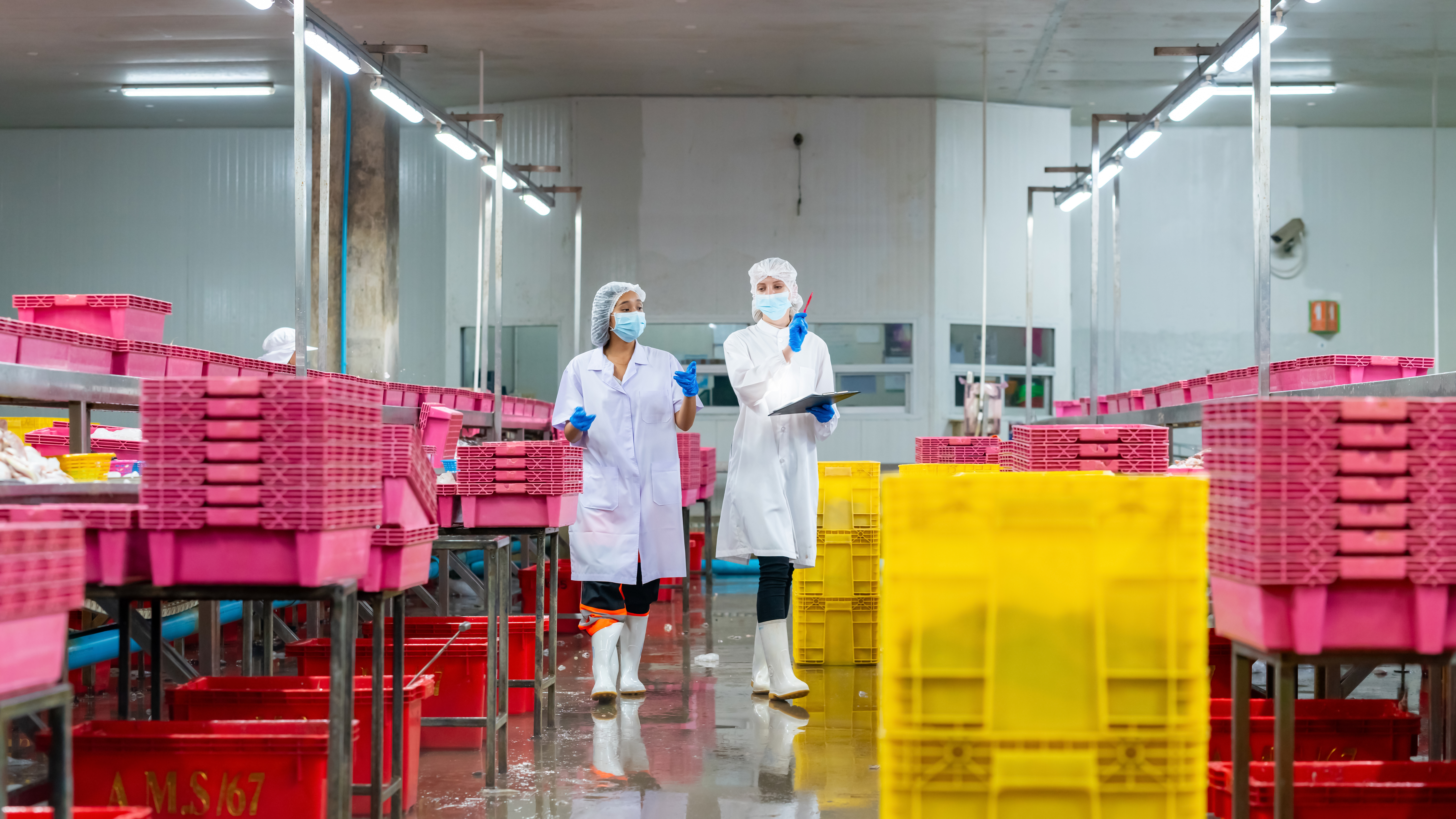 Auditors in a Food factory with pink boxes