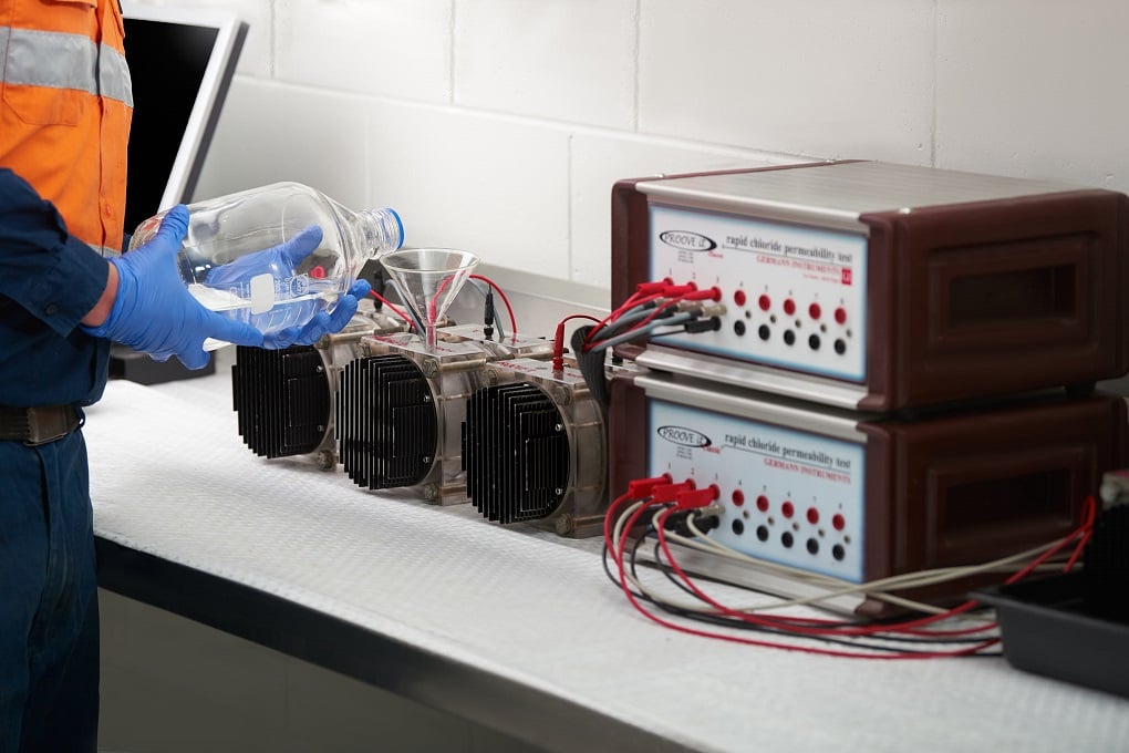 2 - Intega - Kunda Park, Sunshine Coast Lab 6. NT492 9798.jpg