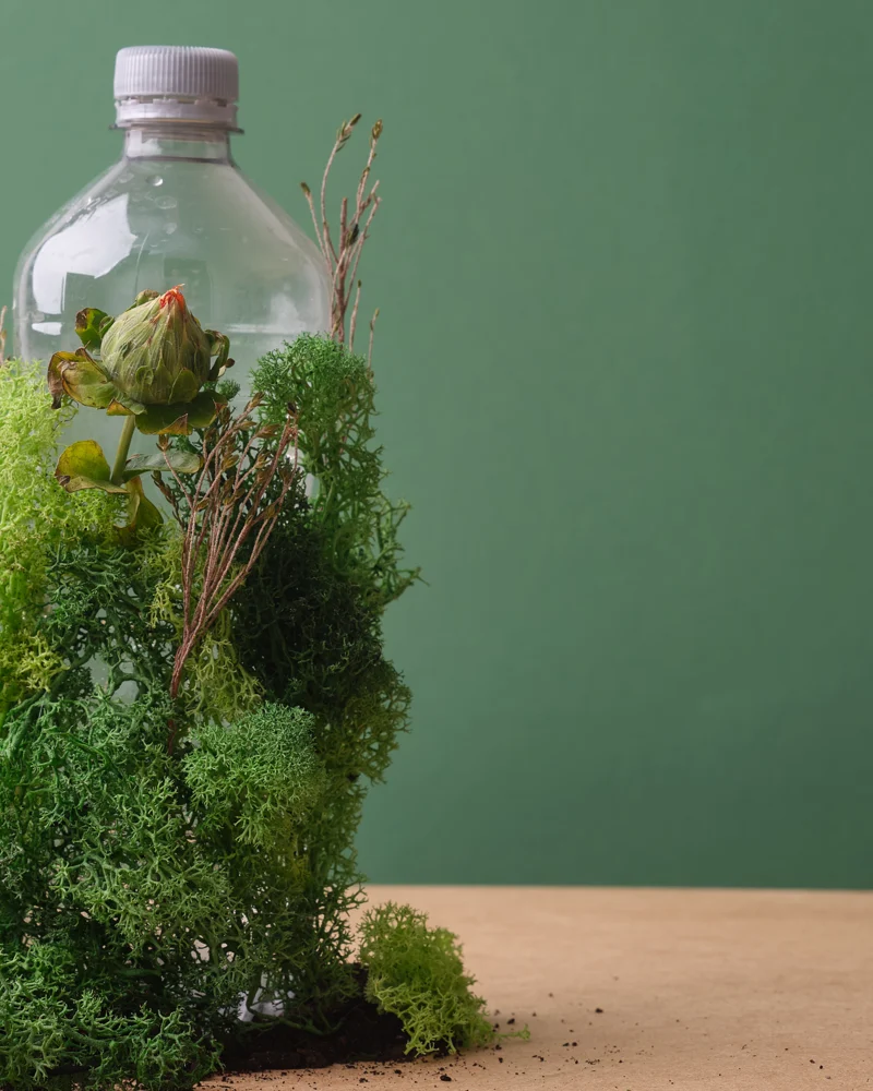 Plastic fles, overwoekerd door mos en kleine planten