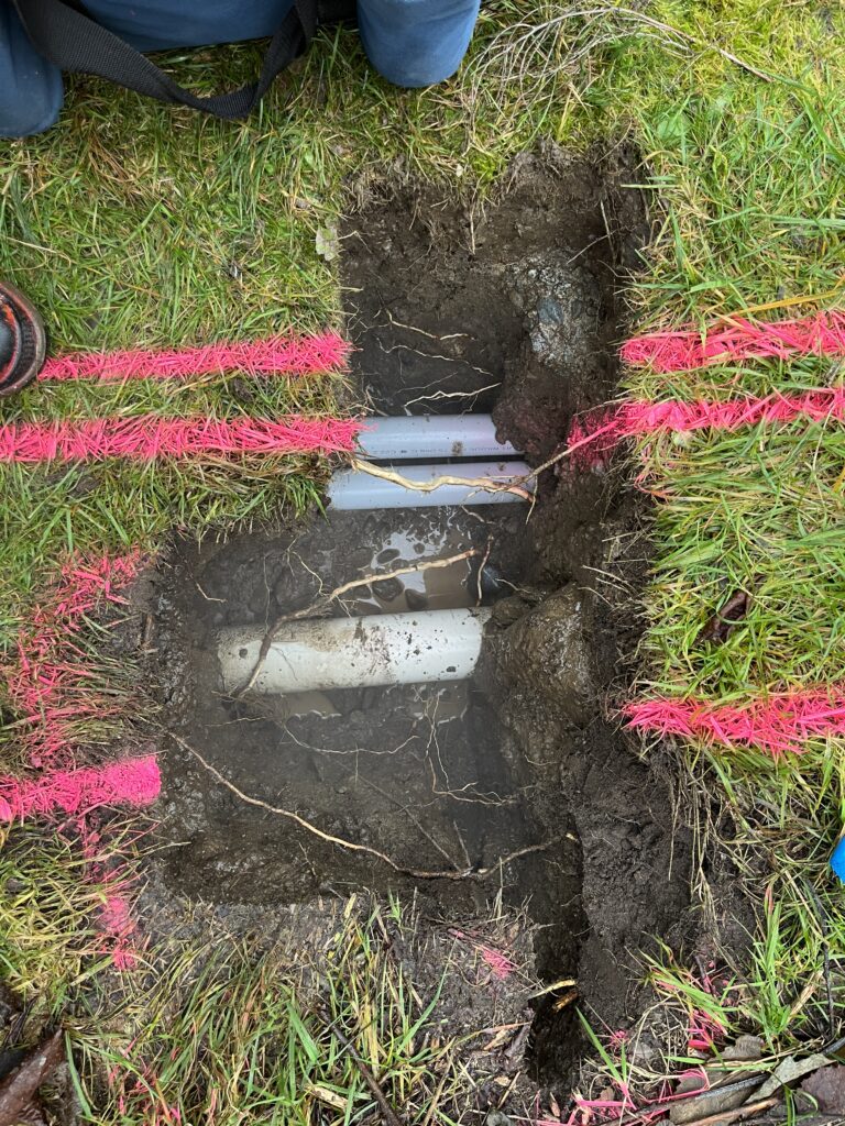 Excavated utility pipes in a grassy field marked with pink survey paint.