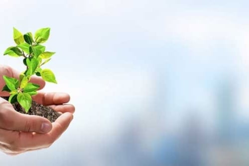 Manos sosteniendo una pequeña planta con tierra, frente a un fondo urbano desenfocado.
