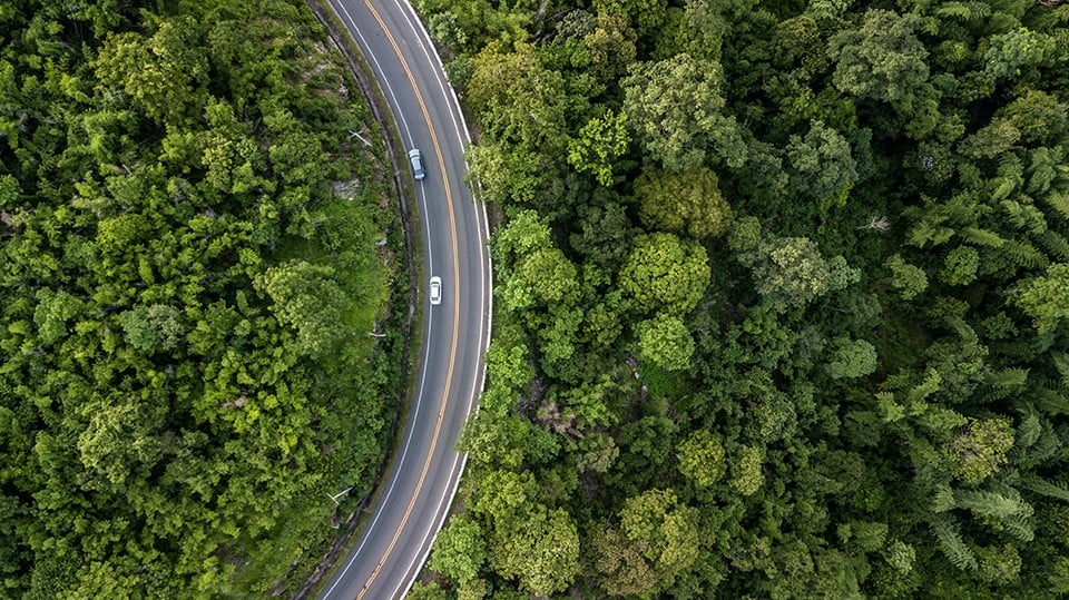 Luftaufnahme einer kurvigen Straße durch dichten grünen Wald mit zwei Autos.