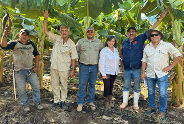 Agricultor-salvadoreno-de-AGASACARE-cultivando-cafe-organico