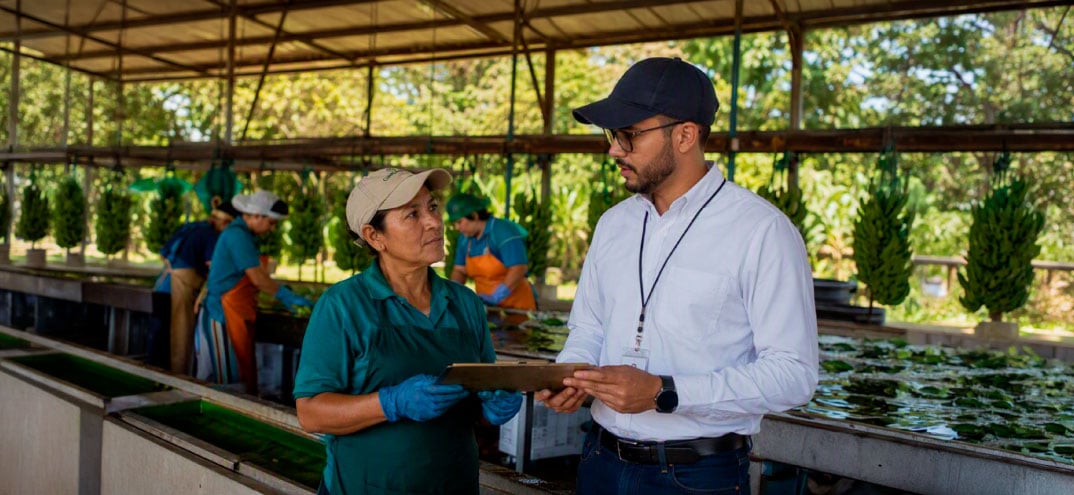 Dos personas conversan en una instalación agrícola cubierta, una mujer con uniforme verde y un hombre con camisa blanca y gorra azul sosteniendo una tabla. Al fondo, varios trabajadores manipulan plantas en mesas de cultivo.