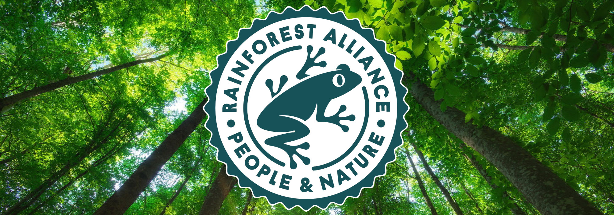 Logotipo de Rainforest Alliance con la imagen de una rana verde rodeada por las palabras "People & Nature" sobre un fondo de árboles y hojas en el bosque.