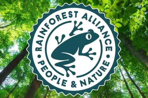 Logotipo de Rainforest Alliance con la imagen de una rana verde rodeada por las palabras "People & Nature" sobre un fondo de árboles y hojas en el bosque.