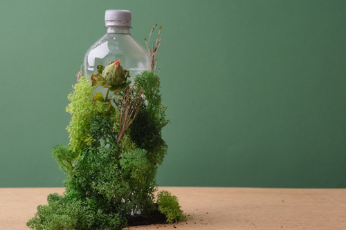 Plastic bottle with moss and flowers against a green background, symbolizing eco-friendly and sustainable practices
