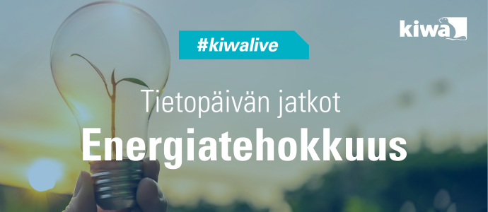 energian hallinta ja kulutus  (2).png