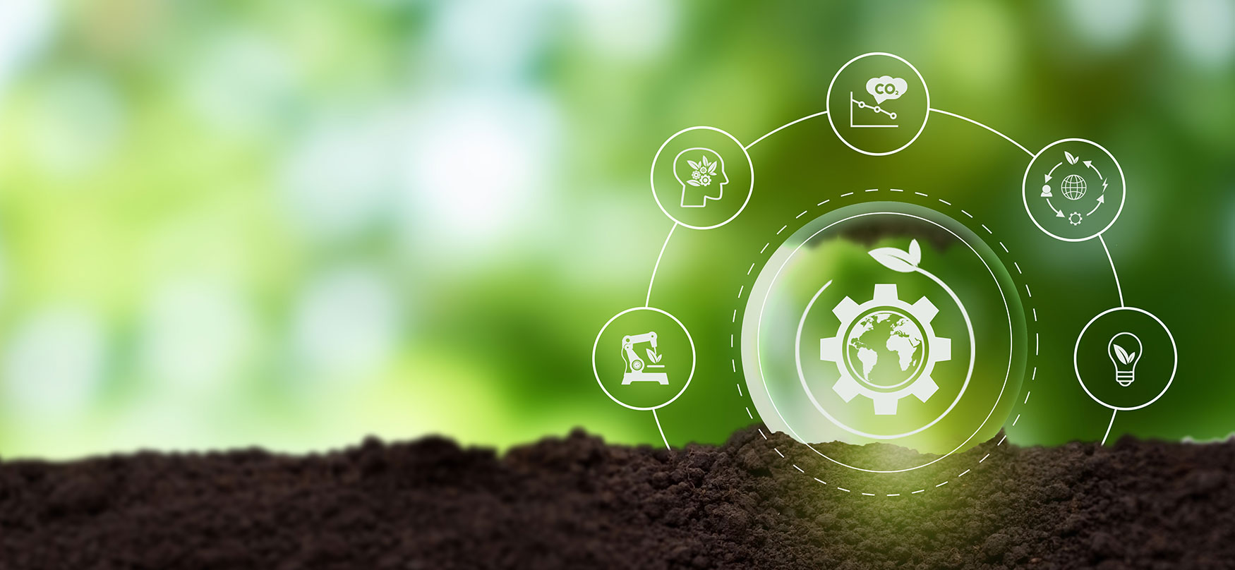 biodiversiteetti