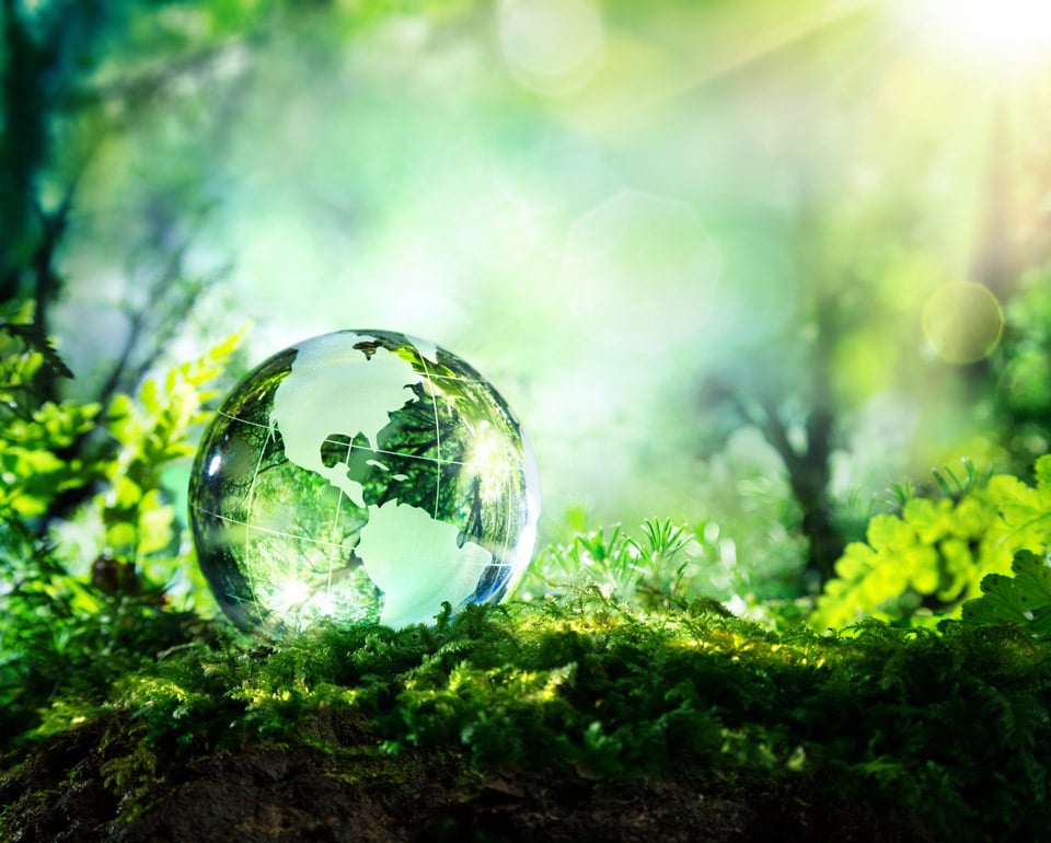 Glass globe with a world map design resting on moss in a lush green forest with sunlight filtering through the trees.