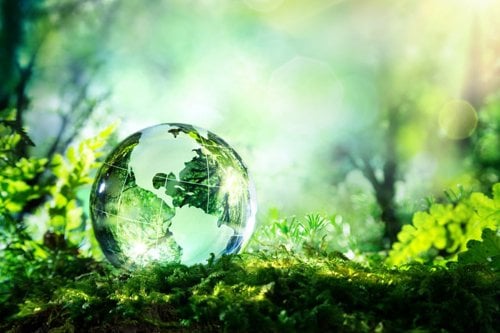 Glasglob föreställande jorden placerad på en mossig yta omgiven av grönskande natur och solstrålar i bakgrunden.