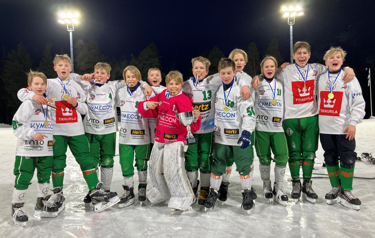 Lappeenrannan Veiterä.png
