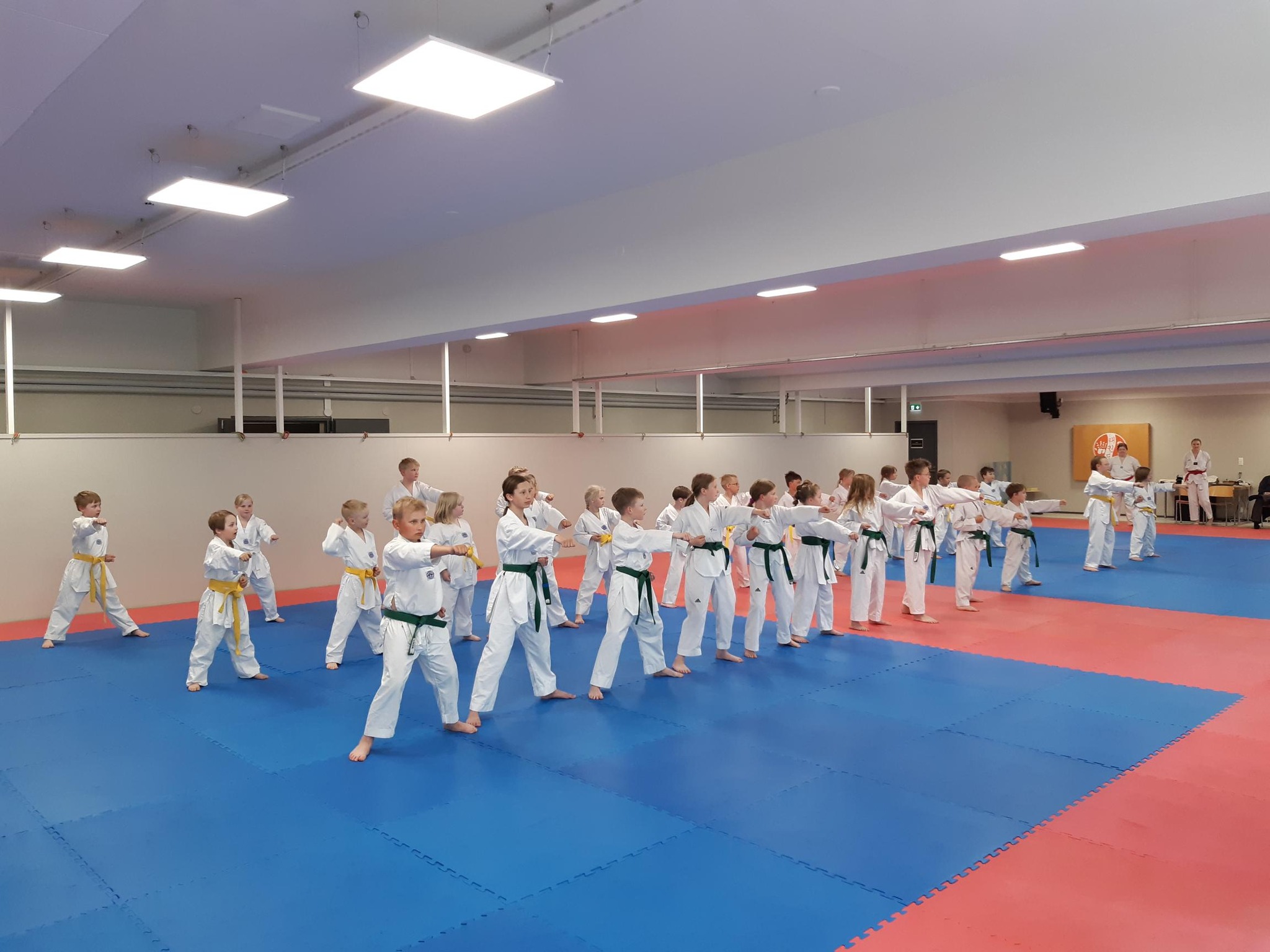 Varkauden taekwondo.jpg