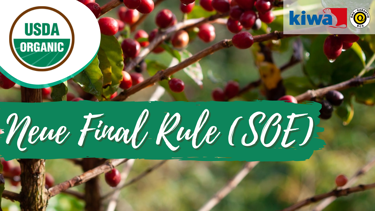 Neue Final Rule (SOE).png