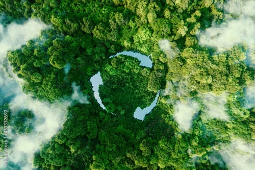 Luchtfoto van een groen bos met een wolkendek, dat een cirkelvorm vormt
