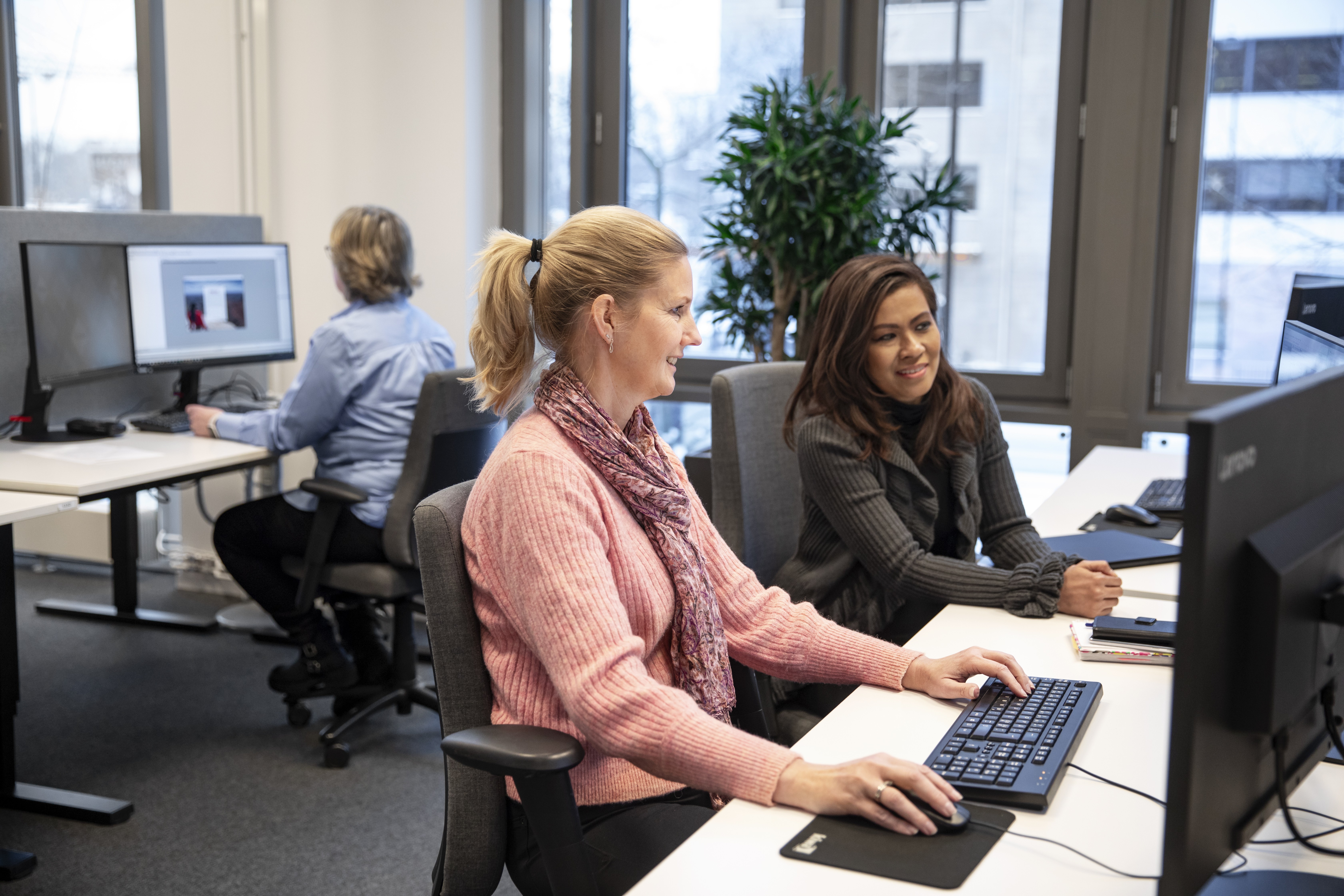 Electronics compliance and assessment