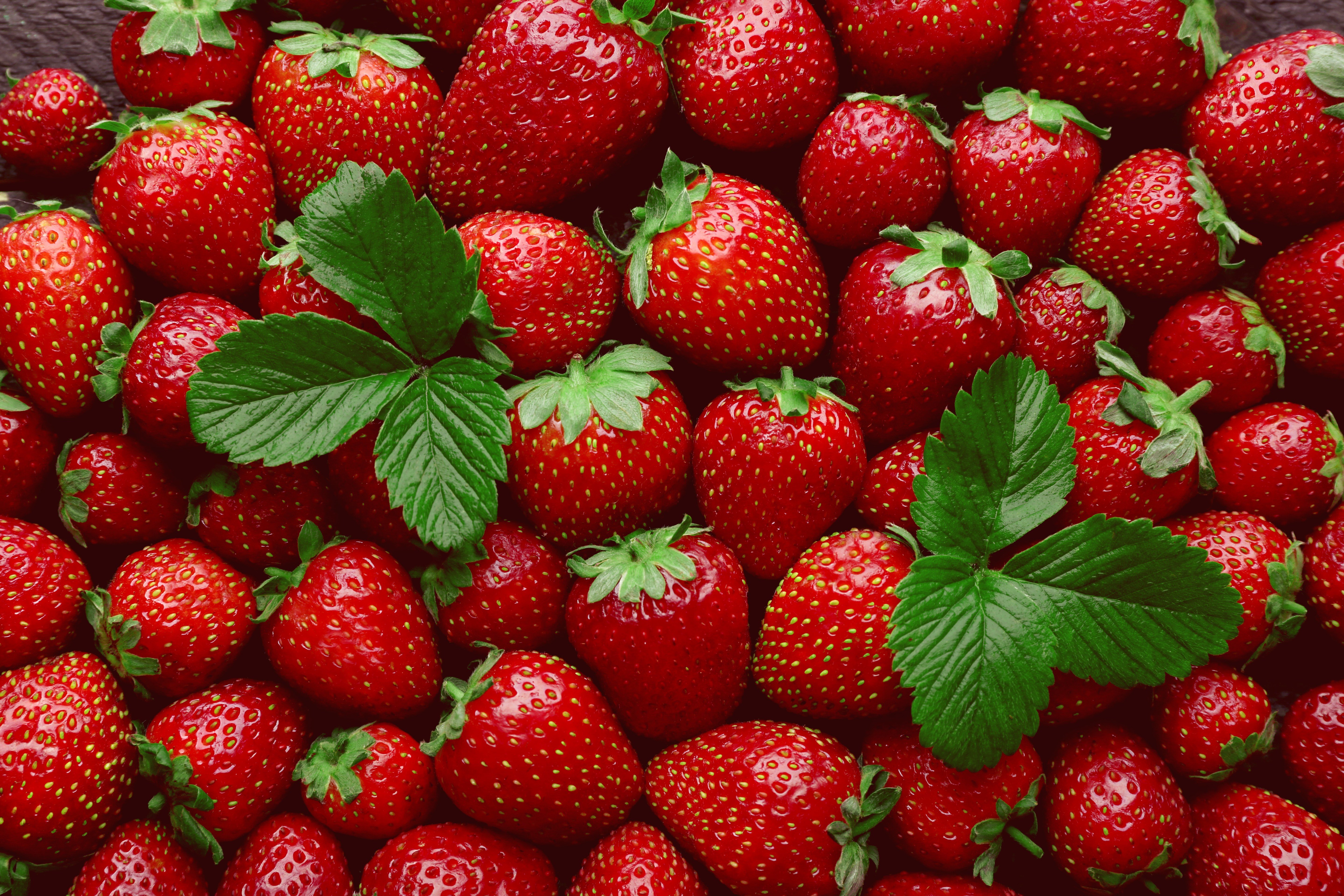Close-up of fresh red strawberries with green leaves.