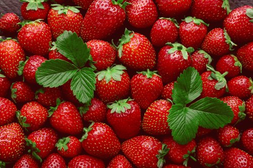 Close-up of fresh red strawberries with green leaves.